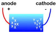 Anode and cathode diagram for Selas Method